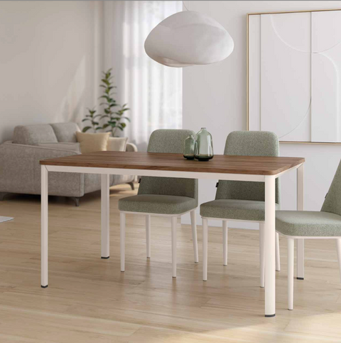 Mesa Onea